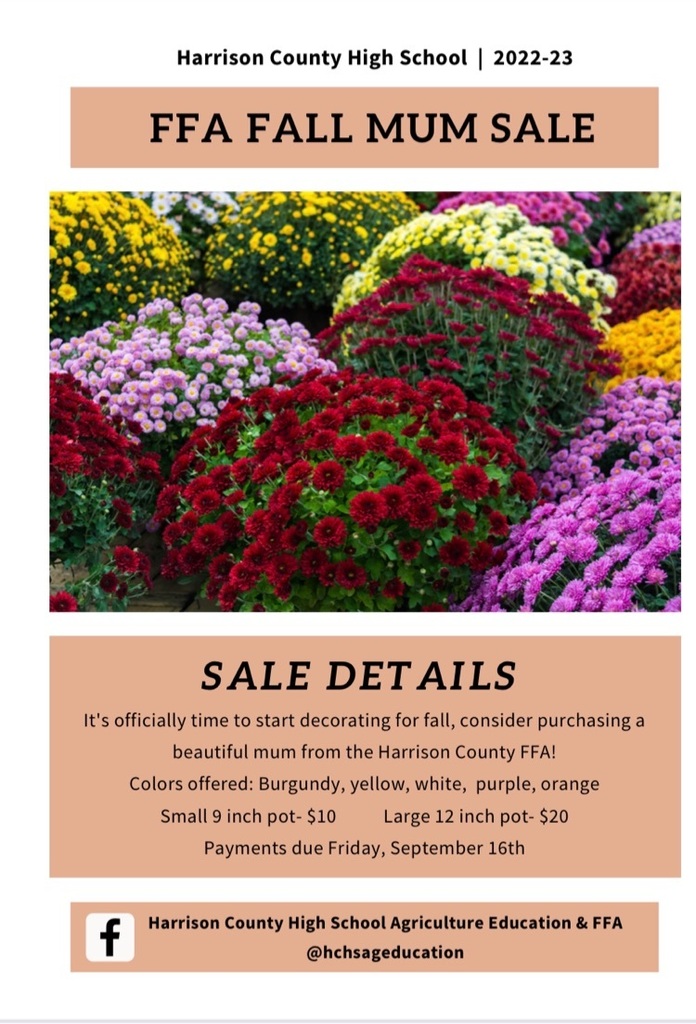 Fall Flowers